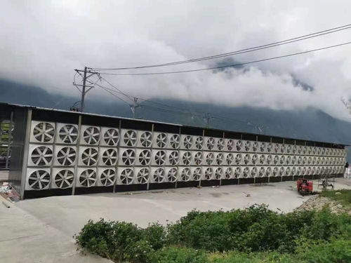 幣圈地震卻 無(wú)人傷亡 炒幣者虧100萬(wàn)也要繼續(xù)買(mǎi),礦廠借私人電站挖礦